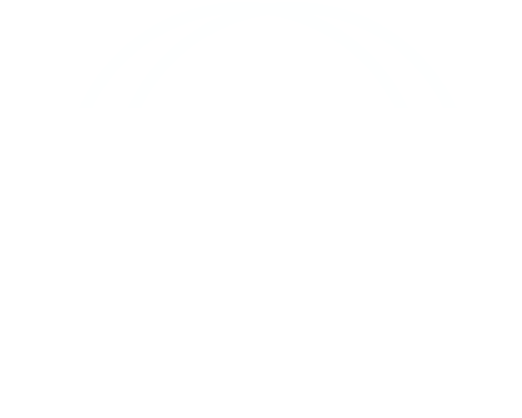 Parallel Imports white logo